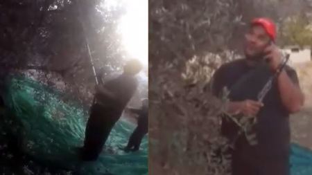 Viral ο Λαμιώτης Γιάννης Κατσαντώνης που μαζεύει ελιές παίζοντας κλαρίνο (Βίντεο)