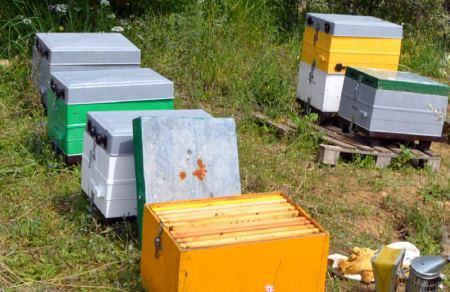 Πωλείται μελισσοκομικός εξοπλισμός