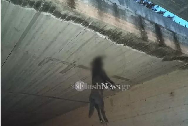 Χανιά: Κρέμασαν σκύλο από γέφυρα και τον άφησαν να πεθάνει - Προσοχή σκληρές εικόνες (pics)