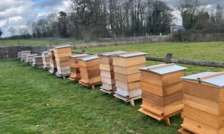 Αγγλία: Μελισσοκόμος έφτιαξε διάδρομο μελισσών 18 χλμ - «Φιλοξενεί» 3,2 εκατομμύρια μέλισσες