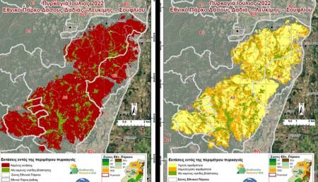 Φωτιά στη Δαδιά: Τι δείχνουν δορυφορικοί χάρτες για την περιβαλλοντική ζημιά