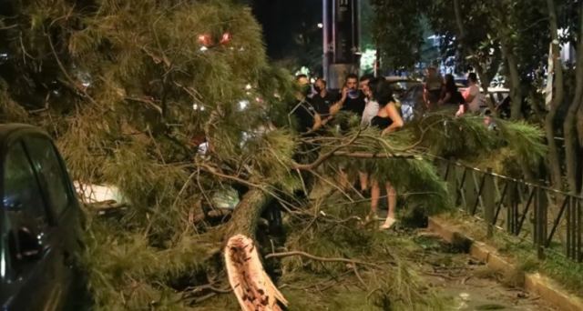 Απίστευτο περιστατικό στο Χαλάνδρι: Τραυματίστηκε πεζός μετά από πτώση δέντρου [εικόνες]