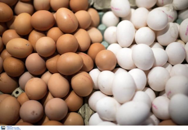 Συμβουλές ΕΦΕΤ για την αγορά αυγών - Τι πρέπει να προσέχετε