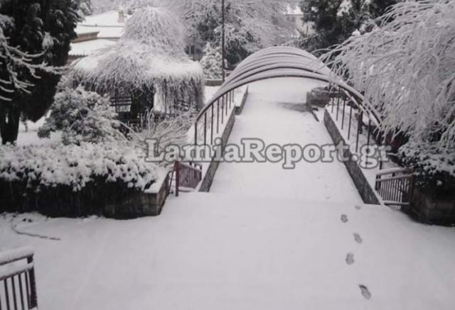 Έπεσε πολύ χιόνι στα χωριά της Λαμίας - Δείτε εικόνες