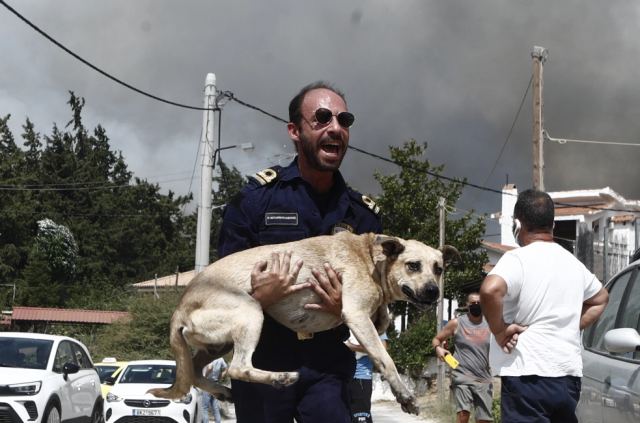 Φωτιά στην Πάρνηθα: Με τα σκυλιά τους αγκαλιά, εκκενώνουν τα σπίτια τους στο Μενίδι - Δείτε φωτογραφίες
