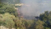 Πυρκαγιά στο Άνυδρο Στυλίδας - Δόθηκε εντολή να σηκωθούν αεροπλάνα