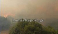 Συναγερμός για πυρκαγιά τη νύχτα στην περιοχή της Άγναντης