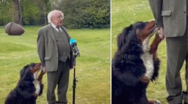 Ο πρόεδρος της χώρας δίνει συνέντευξη ενώ ο σκύλος του «απαιτεί» προσοχή (Viral βίντεο)