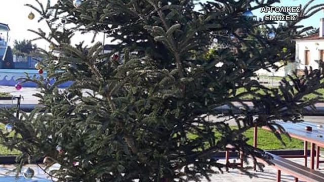 Συνέβη και αυτό: Έκλεψαν τον στολισμό από χριστουγεννιάτικο δέντρο - ΦΩΤΟ
