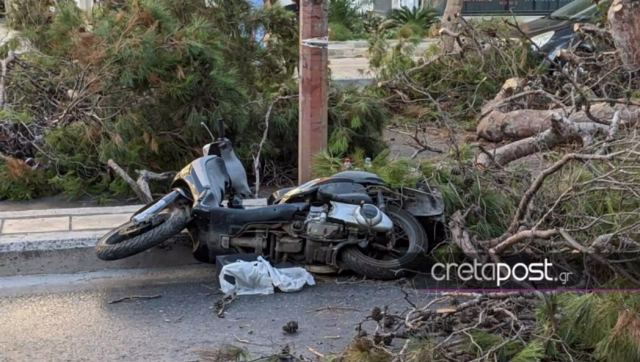 Κρήτη: Συγκλονίζει η χήρα του 51χρονου που καταπλακώθηκε από δέντρο – «Καλό Παράδεισο ψυχή μου»