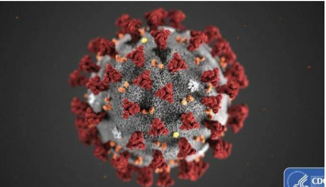 Η μάχη των ιών: Πώς ο ιός του κοινού κρυολογήματος μπορεί να διώξει τον κορωνοϊό