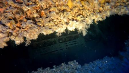 Ναυάγιο «Χρυσή Αυγή»: Εντοπίστηκε το πλοίο στο βυθό 40 χρόνια μετά τη βύθιση στο Κάβο Ντόρο (ΦΩΤΟ - ΒΙΝΤΕΟ)