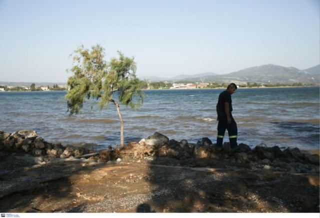 Εύβοια: Πρώην γενικός διευθυντής του ΔΗΣΥ Κύπρου ο 8ος νεκρός από τη θεομηνία