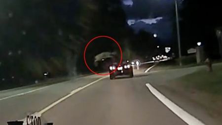 Απίστευτο βίντεο με το άλμα ελαφιού πάνω από αυτοκίνητο που κινείται στον δρόμο