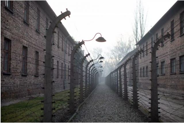 Πολωνία: Οι στάχτες 8.000 ανθρώπων βρέθηκαν κοντά σε ναζιστικό στρατόπεδο συγκέντρωσης