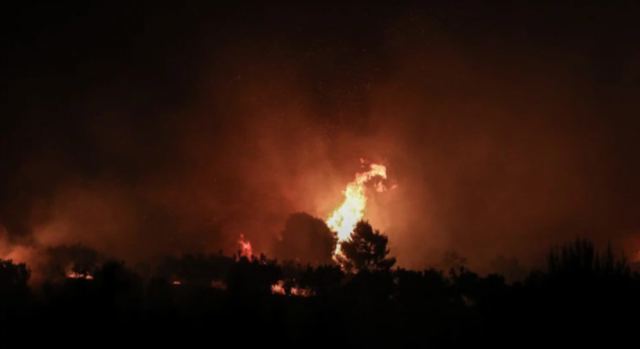 Φωτιά στον Έβρο: Ολονύκτια μάχη με τις φλόγες στη Λευκίμμη - Συνεχίζονται οι επιχειρήσεις
