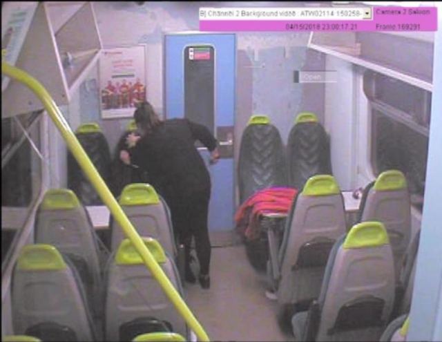 Στιγμές τρόμου στο τρένο – Μαχαίρωσε τη φίλη της και φώναζε “κοιμήσου κοριτσάκι”!