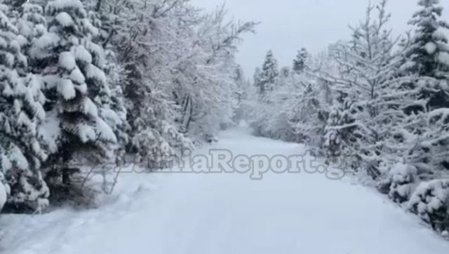 Κακοκαιρία «Φίλιππος»: Πολύ χιόνι στα ορεινά της Φθιώτιδας (ΒΙΝΤΕΟ)