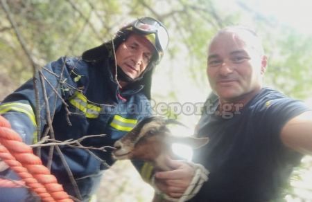 Λαμία: Πυροσβέστες έσωσαν κατσικάκι από φαράγγι (ΦΩΤΟ)