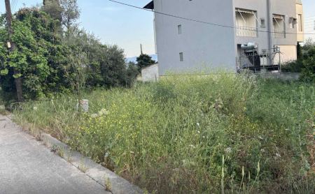Δήμος Λαμιέων: Έρχονται τσουχτερά πρόστιμα για τα ακαθάριστα οικόπεδα