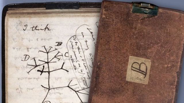 Βρετανία: Έκλεψαν σημειωματάρια του Δαρβίνου από το Πανεπιστήμιο του Κέιμπριτζ
