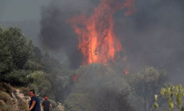 Φωτιά τώρα στη Μεσσηνία: Μεγάλη κινητοποίηση της πυροσβεστικής