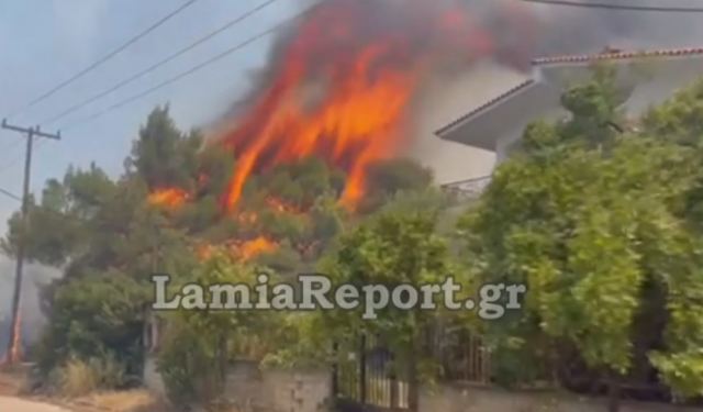 Καίγονται σπίτια στο Θεολόγο Φθιώτιδας - Συγκλονιστικές εικόνες