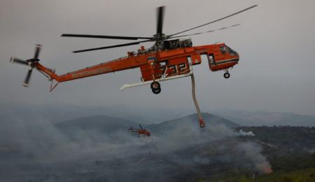 50.000 δέντρα και 2.500 ζώα «χάθηκαν» από τη φωτιά στη Ρόδο