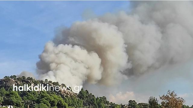 Μεγάλη φωτιά στη Χαλκιδική: Καίγεται πευκοδάσος στη Σιθωνία - Συναγερμός στην Πυροσβεστική [εικόνες-βίντεο]