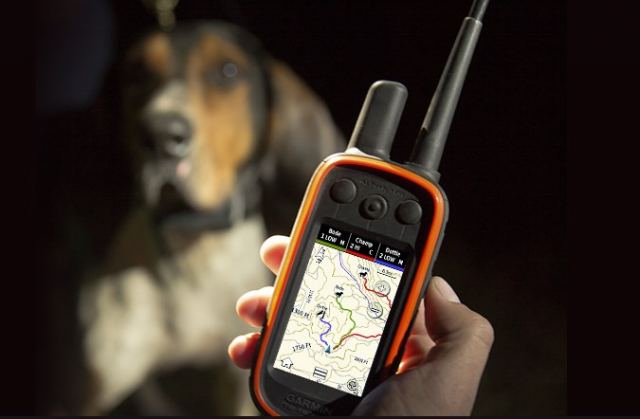 Χάθηκε GPS για σκύλους στη Σαράνταινα