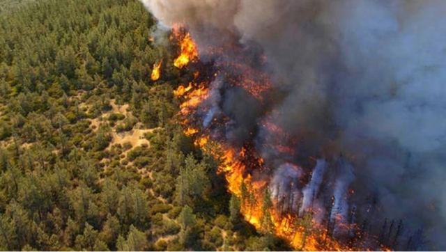 Καίγονται χωριά στην Κύπρο - Συνελήφθη και ανακρίνεται 67χρονος