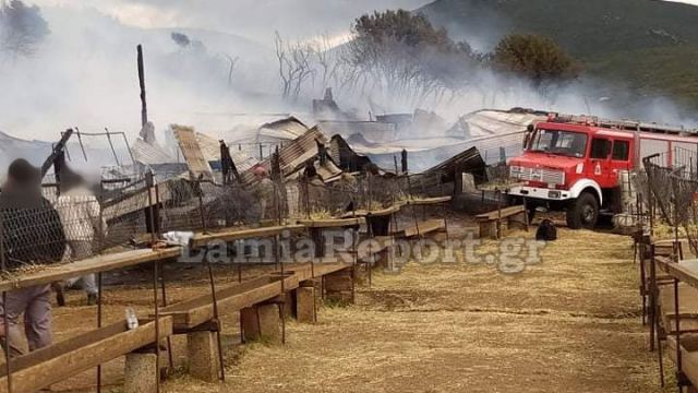 Φθιώτιδα: Πυρκαγιά σε στάβλο - Κάηκαν δεκάδες ζώα (ΦΩΤΟ)