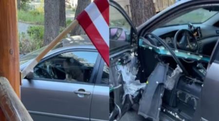 ΗΠΑ: Αρκούδα παγιδεύτηκε σε αμάξι και ξερίζωσε πόρτα (ΒΙΝΤΕΟ)