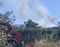 Δύο πυρκαγιές στη Στερεά Ελλάδα μέσα σε λίγη ώρα