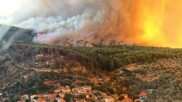 WWF: Οικολογικός απολογισμός της πυρκαγιάς του  2019 στην Εύβοια
