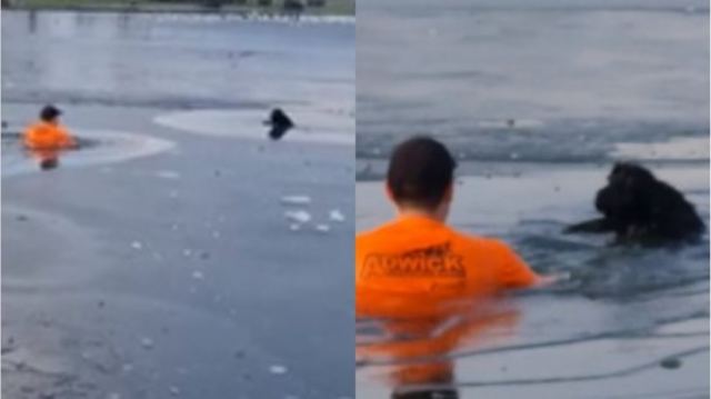 Έτρεχε στο πάρκο και βούτηξε σε παγωμένη λίμνη για να σώσει σκυλάκι