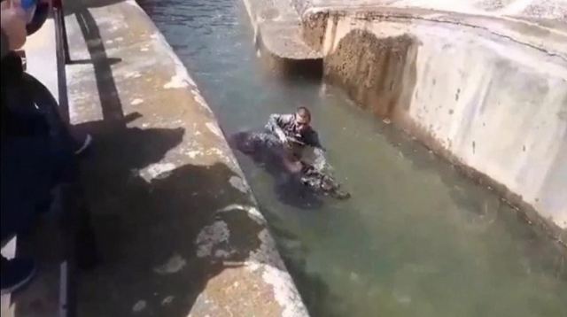 Μεθυσμένος μπήκε σε ζωολογικό κήπο και προσπάθησε να πνίξει μια αρκούδα