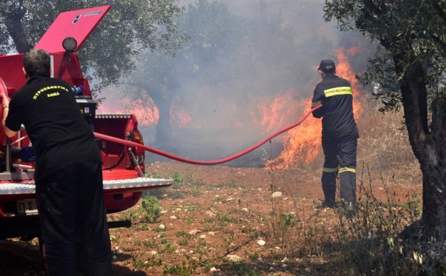 Συναγερμός για φωτιά στα Καλύβια Λαμίας