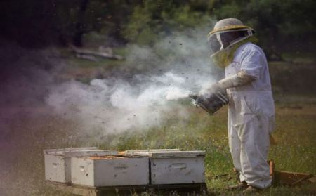 Επείγουσα ενημέρωση για τους Μελισσοκόμους Φθιώτιδας