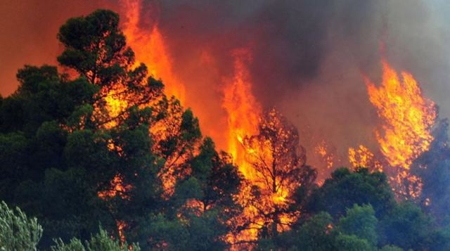 Επικίνδυνη φωτιά στη Λίμνη Ευβοίας - Εκκενώνονται οικισμοί - ΒΙΝΤΕΟ