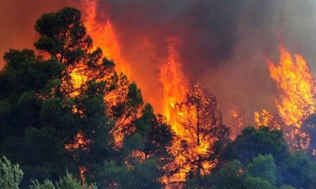 Φθιώτιδα: Σε εξέλιξη δυο μεγάλες φωτιές στη Λοκρίδα