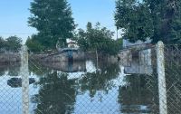 Θεσσαλία: Ένας θάνατος και δύο νοσηλείες από λεπτοσπείρωση στις πλημμυρισμένες περιοχές