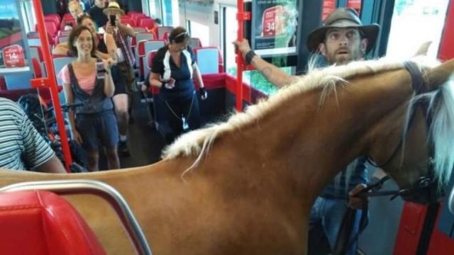 Αυστρία: Πήρε το τρένο μαζί με το ...άλογό του
