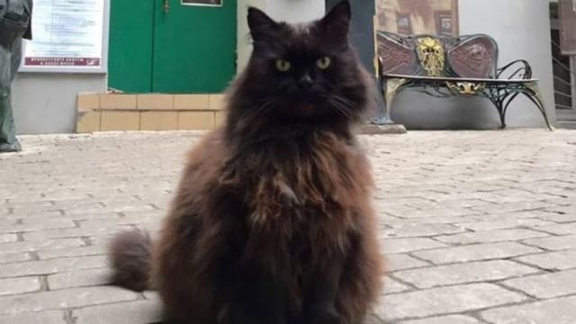 Έκλεψαν γάτο - μασκότ από μουσείο στη Μόσχα