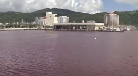 Ιαπωνία: Γιατί έγινε κόκκινη η θάλασσα (BINTEO)