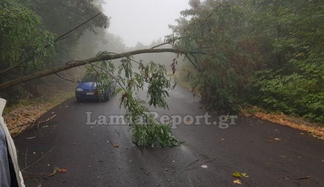 Φθιώτιδα: Έπεσε δέντρο στο δρόμο για Γαρδίκι (ΦΩΤΟ)