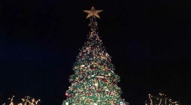 Φωταγωγούνται τα χριστουγεννιάτικα δέντρα στο Δήμο Λοκρών