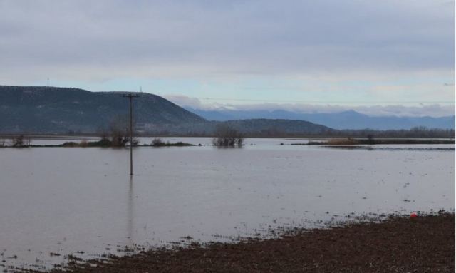Υπερχείλισε ο Πηνειός στην περιοχή της Πηνειάδας – Εικόνες από τις πλημμυρισμένες εκτάσεις