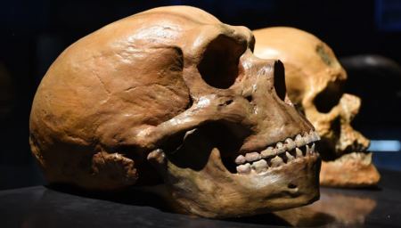 Ανακαλύφθηκε το πρόσωπο του «αρχαιότερου άνθρωπου» στη Γη - Η γυναίκα από την Τσεχία που έζησε πριν από 45.000 χρόνια