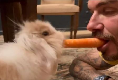 Ο Ντέιβιντ Μπέκαμ μοιράζεται ένα καρότο με το κουνέλι του και ρίχνει τα social media